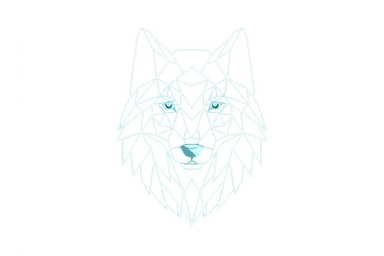 WolfCodex